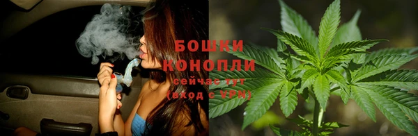 apvp Видное