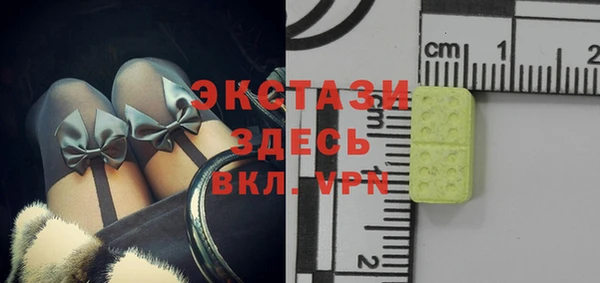 ECSTASY Бикин