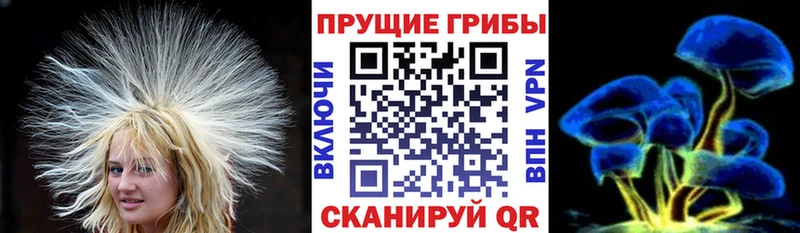 хочу наркоту  Луховицы  Галлюциногенные грибы Cubensis 