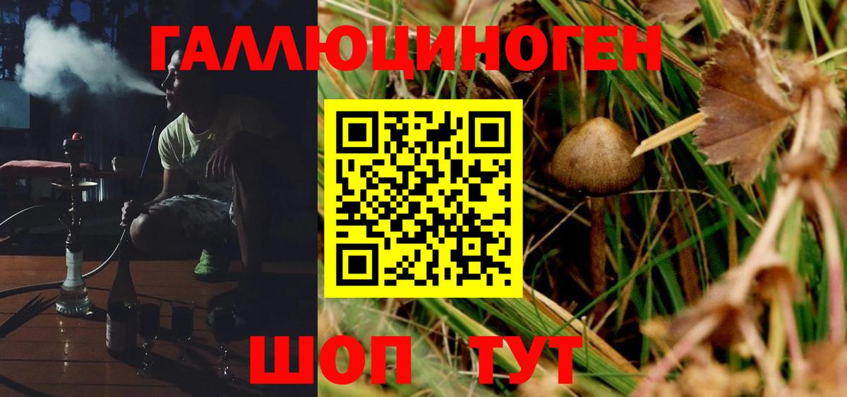 Галлюциногенные грибы GOLDEN TEACHER Луховицы