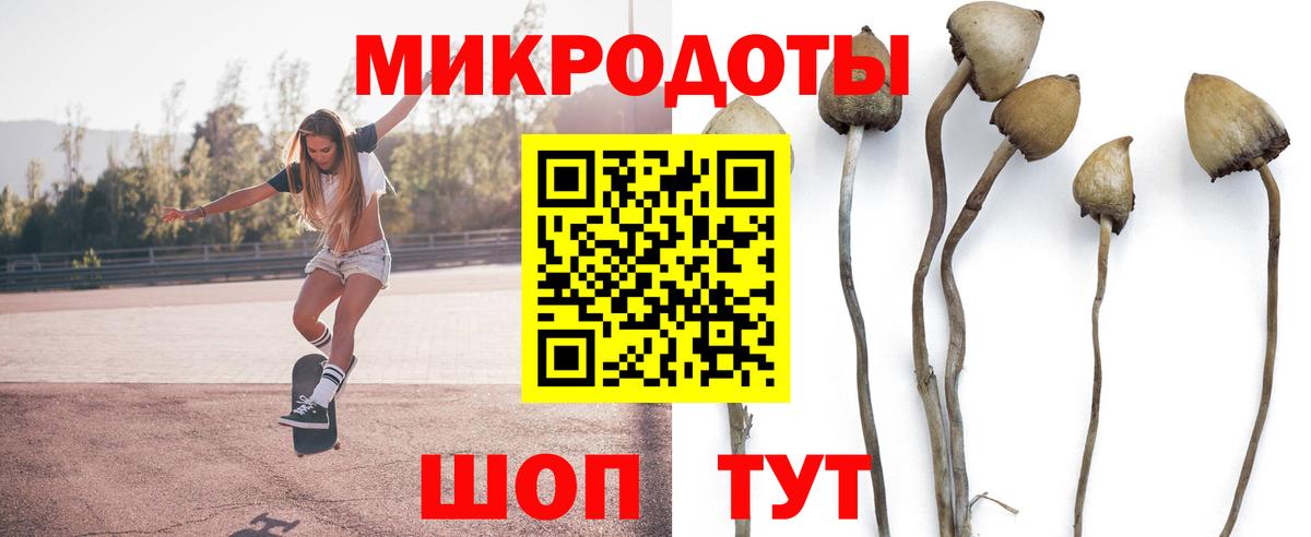 Луховицы  Галлюциногенные грибы Psilocybine cubensis  Галлюциногенные грибы прущие грибы  Вход с VPN 