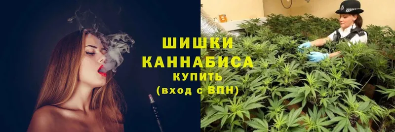 как найти наркотики  Луховицы  блэк спрут как войти  Каннабис план 